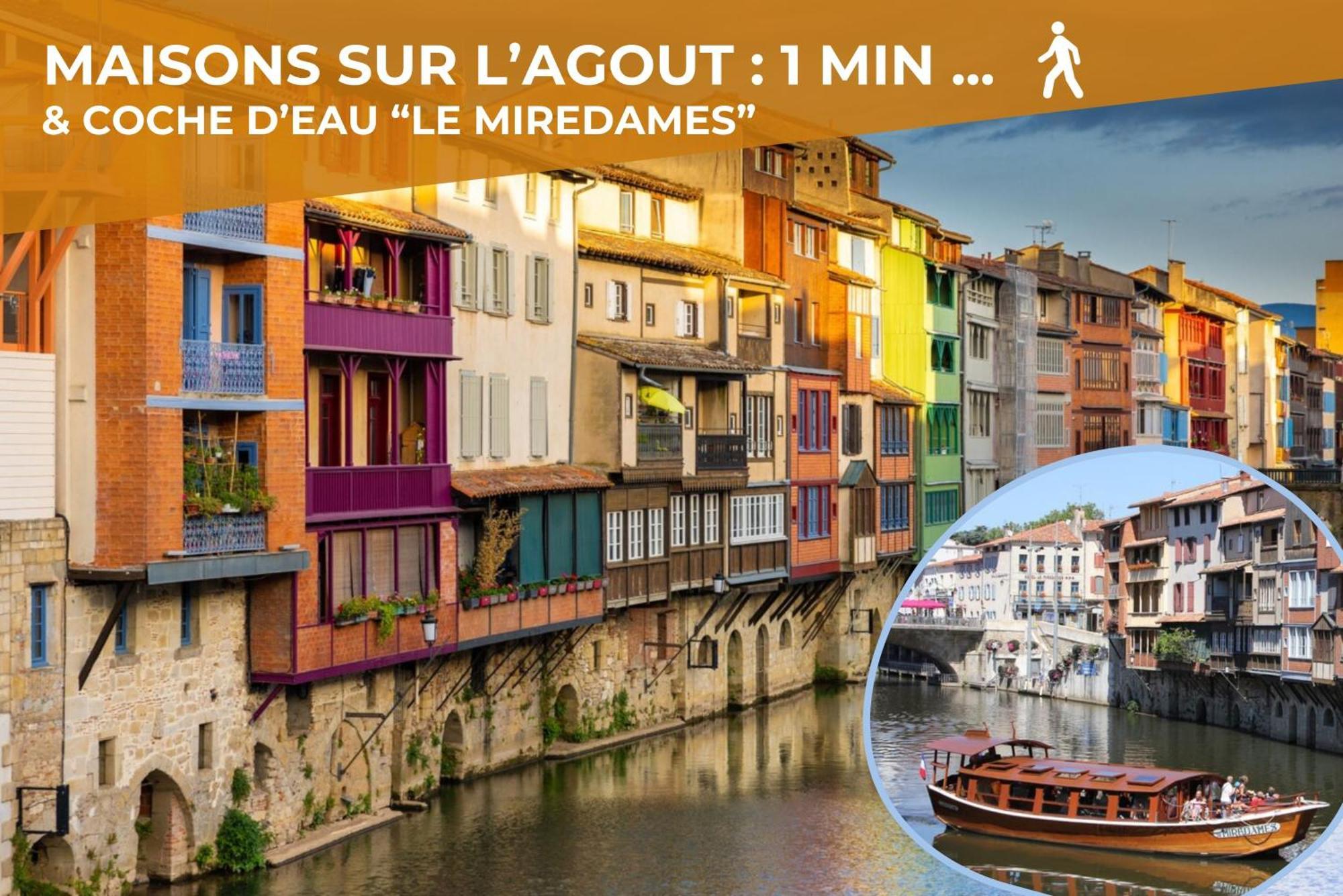 Le Canope - T3 Duplex, 2 Salles D'Eau, Hypercentre Castres  Exterior foto