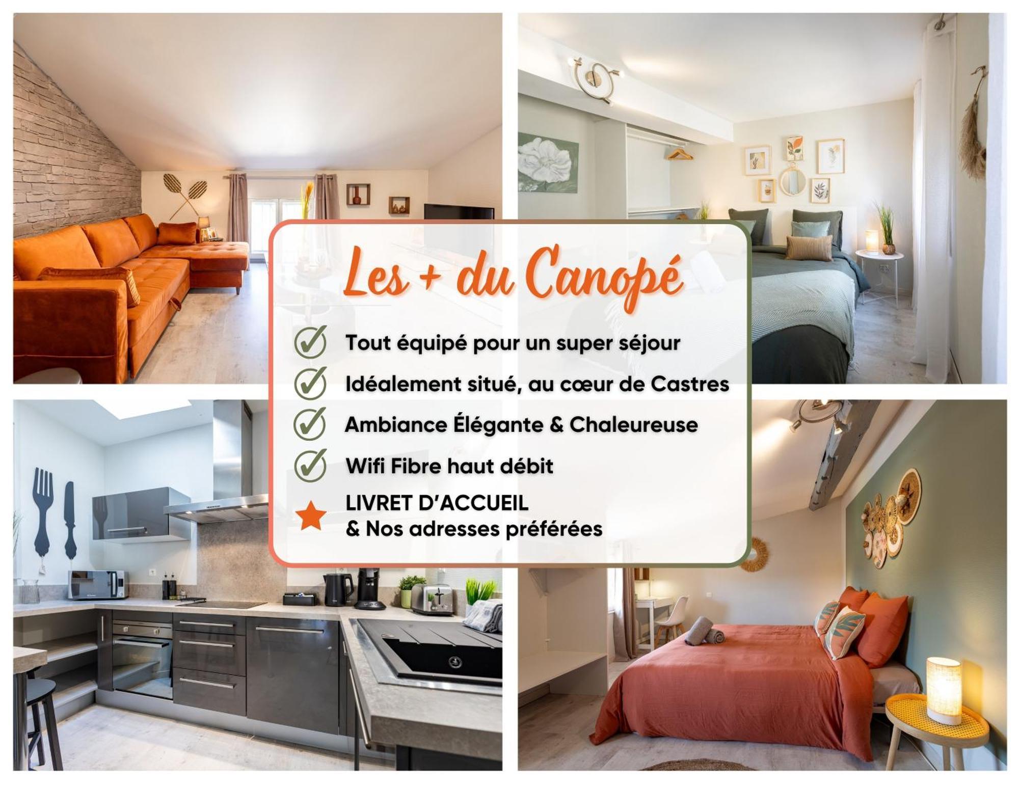 Le Canope - T3 Duplex, 2 Salles D'Eau, Hypercentre Castres  Exterior foto