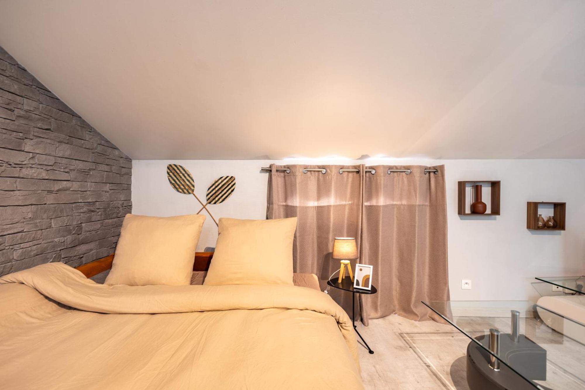 Le Canope - T3 Duplex, 2 Salles D'Eau, Hypercentre Castres  Exterior foto